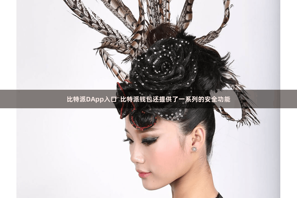 比特派DApp入口 比特派钱包还提供了一系列的安全功能