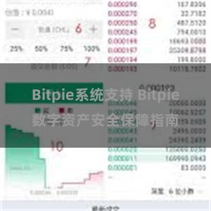 Bitpie系统支持 Bitpie数字资产安全保障指南