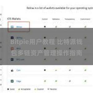 Bitpie用户教程 比特派钱包多链资产管理操作指南