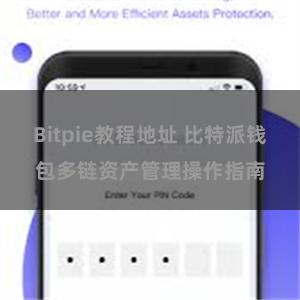 Bitpie教程地址 比特派钱包多链资产管理操作指南