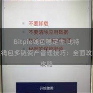 Bitpie钱包稳定性 比特派钱包多链资产管理技巧：全面攻略