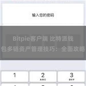 Bitpie客户端 比特派钱包多链资产管理技巧：全面攻略