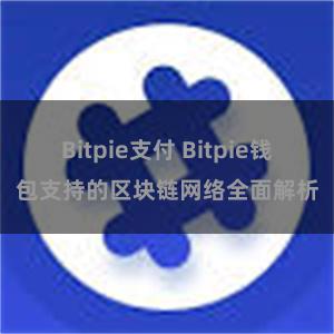 Bitpie支付 Bitpie钱包支持的区块链网络全面解析