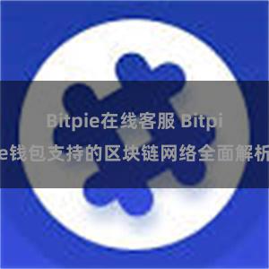 Bitpie在线客服 Bitpie钱包支持的区块链网络全面解析