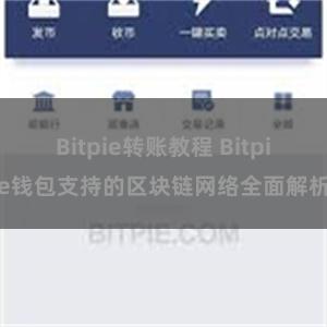 Bitpie转账教程 Bitpie钱包支持的区块链网络全面解析