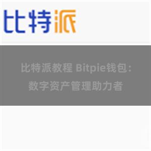 比特派教程 Bitpie钱包：数字资产管理助力者