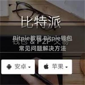 Bitpie教程 Bitpie钱包常见问题解决方法