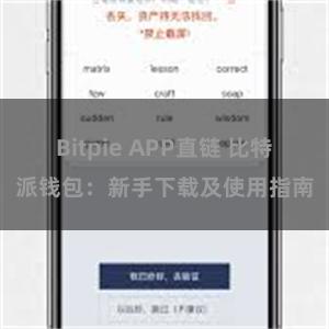 Bitpie APP直链 比特派钱包：新手下载及使用指南