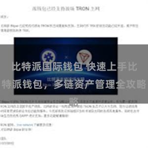 比特派国际钱包 快速上手比特派钱包，多链资产管理全攻略