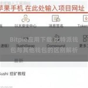 Bitpie应用下载 比特派钱包与其他钱包的区别解析