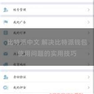 比特派中文 解决比特派钱包使用问题的实用技巧