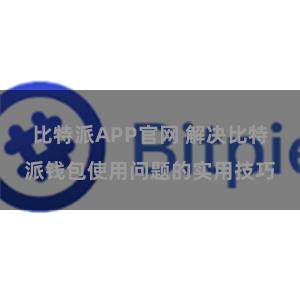 比特派APP官网 解决比特派钱包使用问题的实用技巧