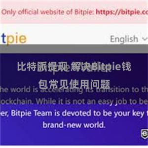 比特派提现 解决Bitpie钱包常见使用问题