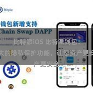 比特派iOS 比特派钱包：强大的隐私保护功能，让您资产更安全