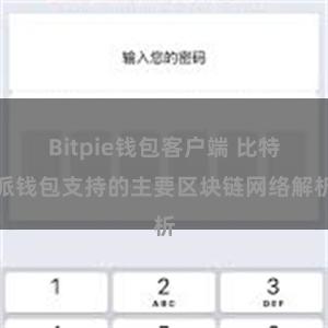 Bitpie钱包客户端 比特派钱包支持的主要区块链网络解析