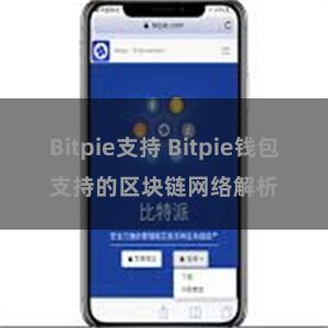 Bitpie支持 Bitpie钱包支持的区块链网络解析