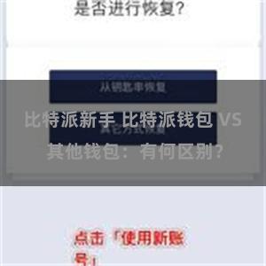 比特派新手 比特派钱包 VS 其他钱包：有何区别？