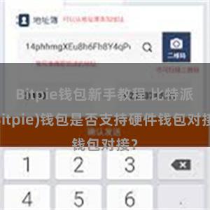 Bitpie钱包新手教程 比特派(Bitpie)钱包是否支持硬件钱包对接？