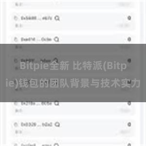 Bitpie全新 比特派(Bitpie)钱包的团队背景与技术实力