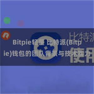 Bitpie轻量 比特派(Bitpie)钱包的团队背景与技术实力