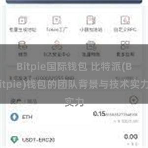 Bitpie国际钱包 比特派(Bitpie)钱包的团队背景与技术实力