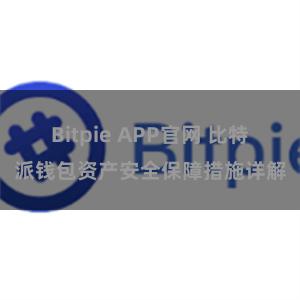 Bitpie APP官网 比特派钱包资产安全保障措施详解