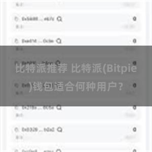 比特派推荐 比特派(Bitpie)钱包适合何种用户？