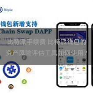 比特派手续费 比特派钱包的资产风险评估工具如何使用？