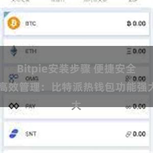 Bitpie安装步骤 便捷安全 高效管理：比特派热钱包功能强大