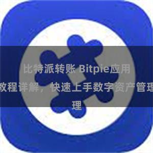 比特派转账 Bitpie应用教程详解，快速上手数字资产管理