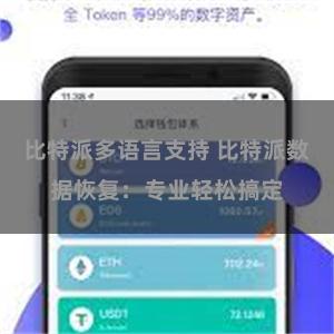 比特派多语言支持 比特派数据恢复：专业轻松搞定