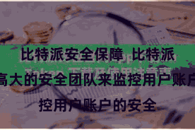 比特派安全保障  比特派建立了高大的安全团队来监控用户账户的安全
