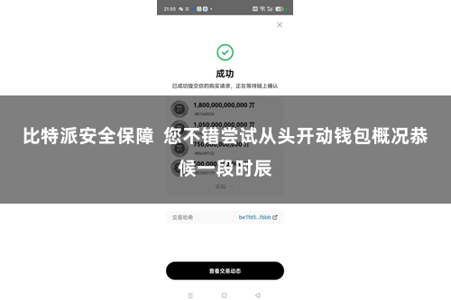 比特派安全保障  您不错尝试从头开动钱包概况恭候一段时辰