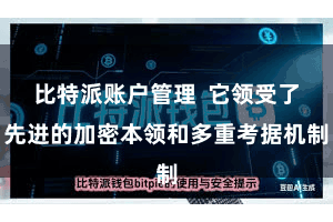 比特派账户管理  它领受了先进的加密本领和多重考据机制